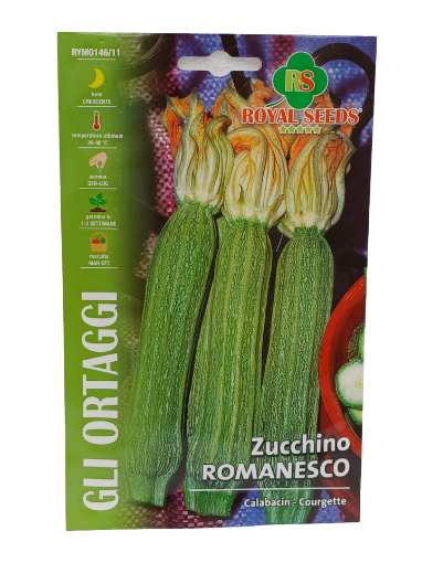 Immagine di BUSTA ZUCCHINO ROMANESCO MAXI