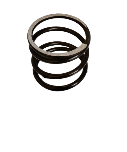 Immagine di MOLLA PER W4