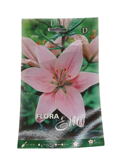 Immagine di LILIUM ASIATIC PINK 16/18 N.2 BULBI
