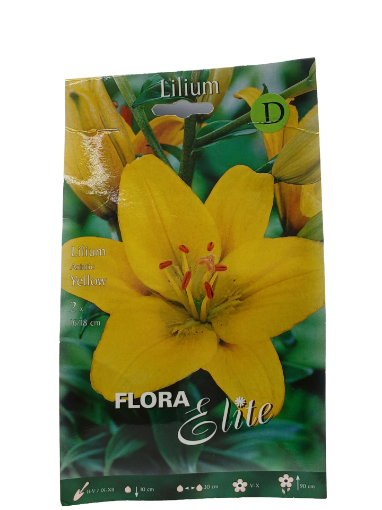 Immagine di LILIUM ASIATIC YELLOW 16/18 N.2 BULBI
