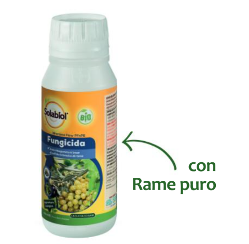 Immagine di IDRORAME 500 ML PFnPE