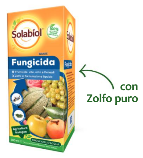 Immagine di SLB WANAX 100 ML PFnPE