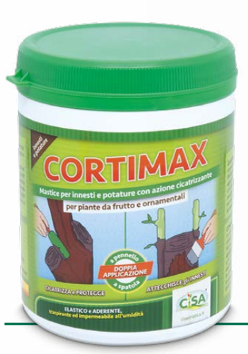 Immagine di CORTIMAX MASTICE INNESTI BARAT. 1.KG.