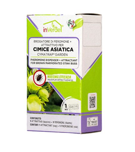 Immagine di SCATOLA 1 KIT CIMICE ASIATICA