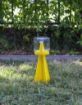 Immagine di CYMATRAP GARDEN (CIMICE ASIATICA)