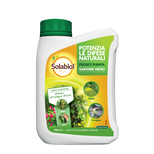 Immagine di SAPONE NERO 750ML