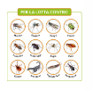 Immagine di DELTA PBO FLACONE 250 ML