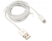 Immagine di CAVO IPHONE LIGHTNING DATI USB PE 2M