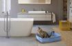 Immagine di WATER TOILETTE CAT BIG SENZA COPERCHIO